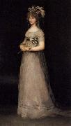 Francisco de Goya Portrait of the Countess of Chinchon oil painting